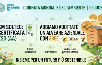 Certificazione ESG e Alveare Aziendale: l'impegno concreto di KM Soltec per la sostenibilità